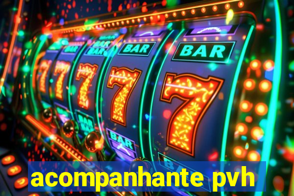 acompanhante pvh